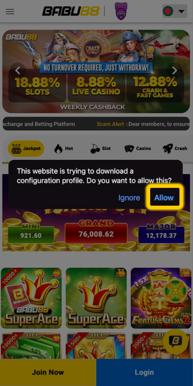 Allow the Configuration Profile.