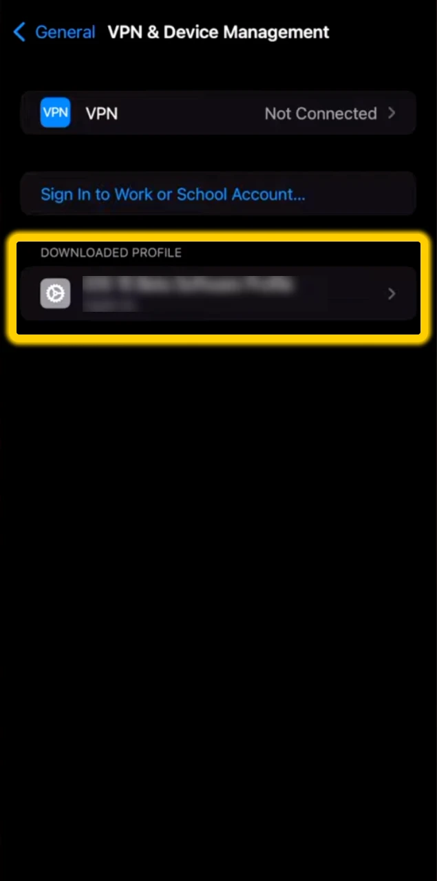 Go to Settings and Install Profile.